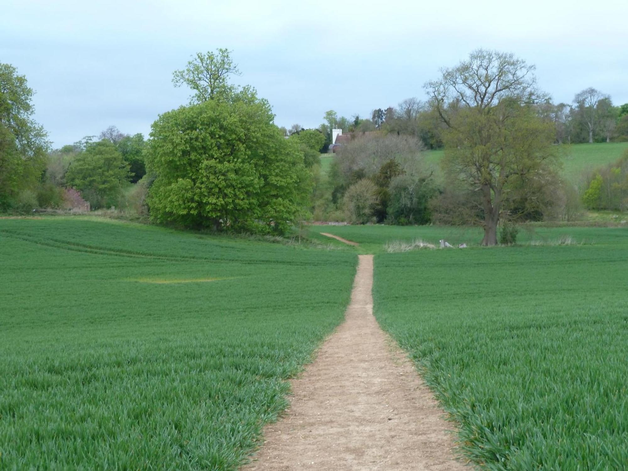 Palace Farm Courtyard And Granary Rooms Doddington  Esterno foto